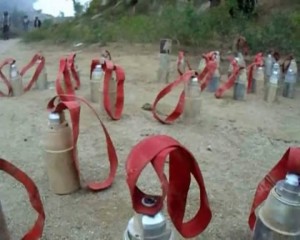 12202508_1478461412460897_1704599868_n