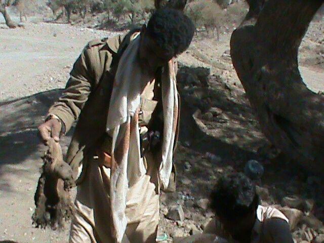 photo_2015-12-20_16-33-01