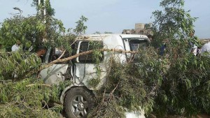 12483884_920824048003401_1462316259_n