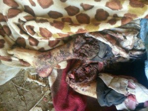 photo_2016-01-10_17-59-51