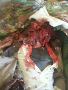 photo_2016-01-10_18-00-17