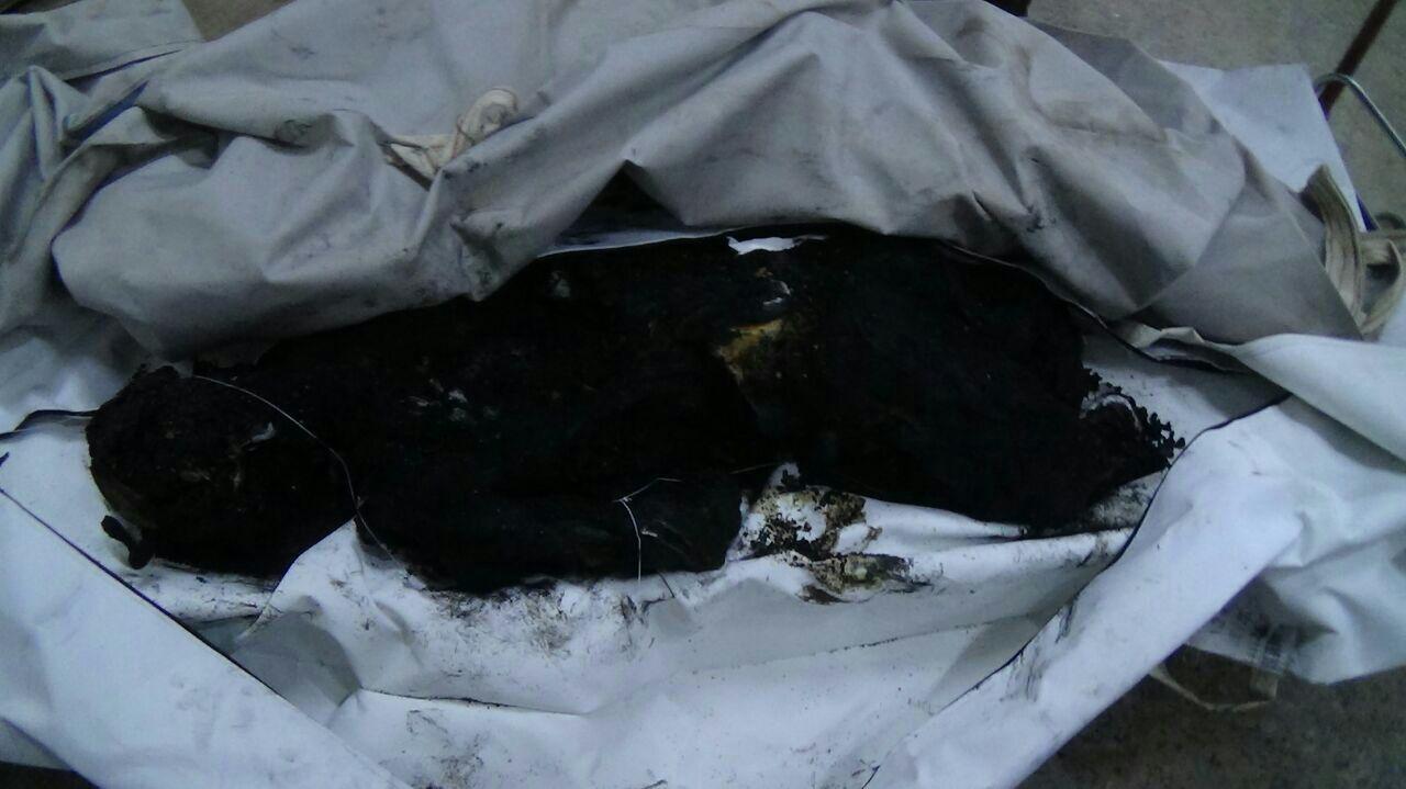 photo_2016-01-21_21-24-02