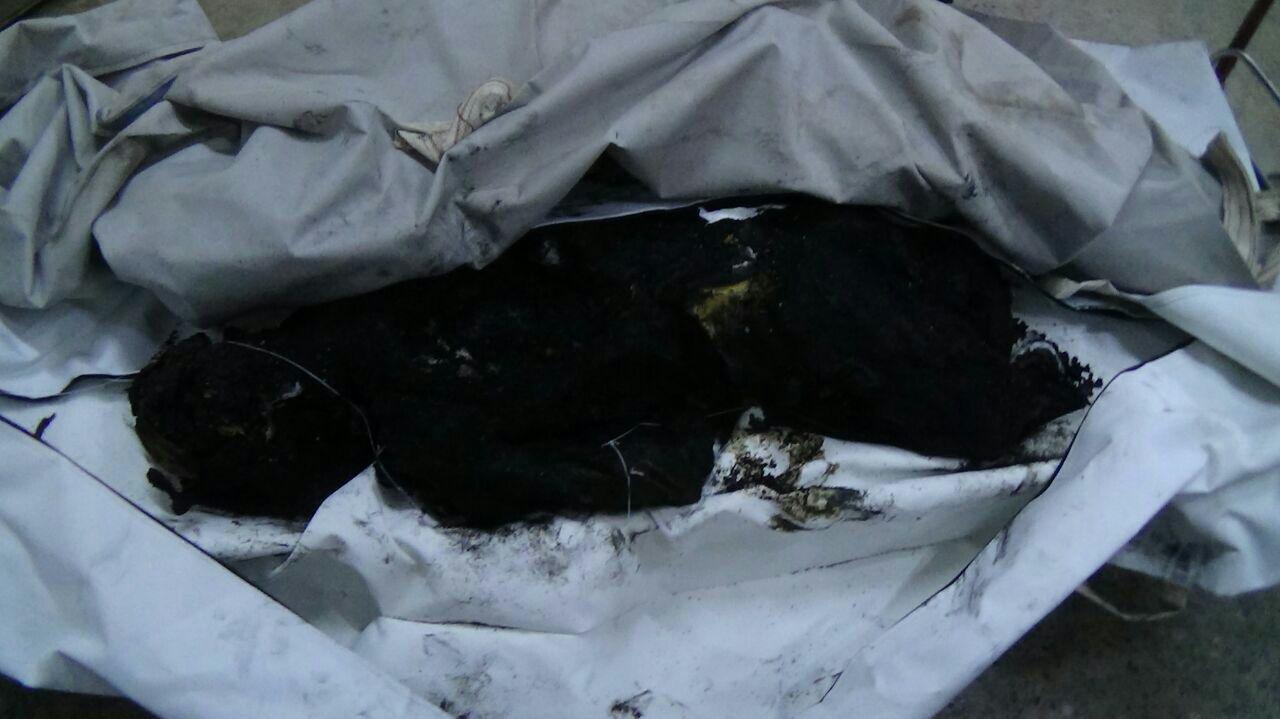 photo_2016-01-21_21-24-05