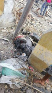 photo_2016-01-28_17-04-50