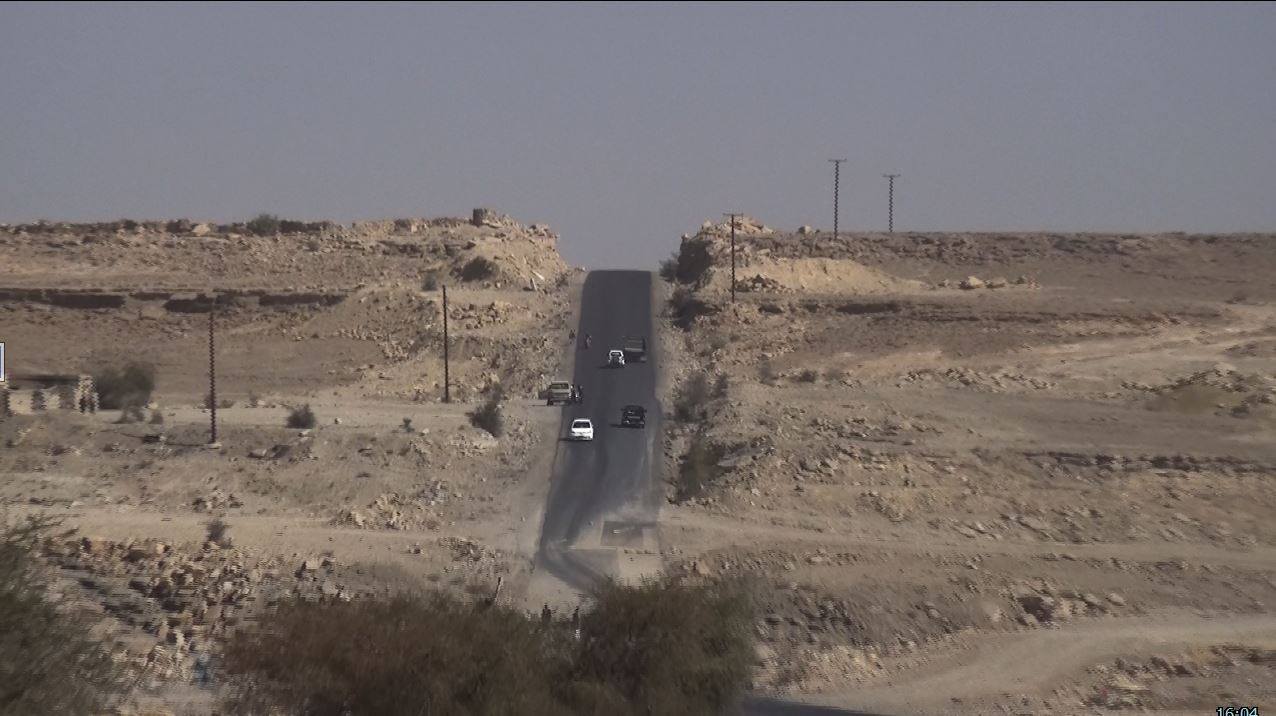 11058181_882165061902292_43095829539762074_o