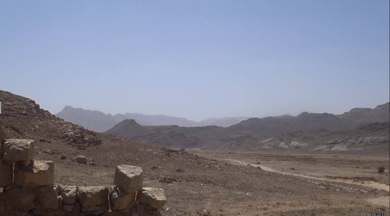 12657355_882164791902319_8085991229889002231_o