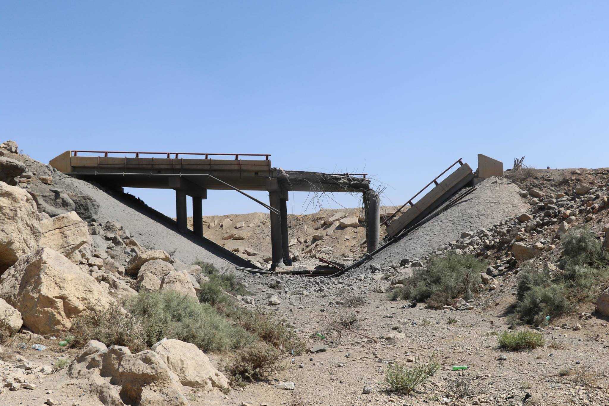 12657954_882164935235638_4388064016177372940_o