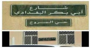 1419979_240824529407602_490114830_n