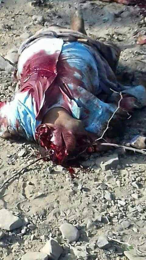 photo_2016-03-31_21-05-42