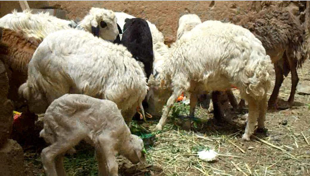 photo_2016-03-31_21-08-01