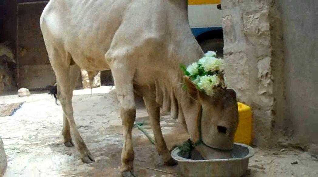 photo_2016-03-31_21-08-17