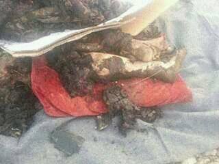 13260107_1050695825004821_1960580352384419953_n