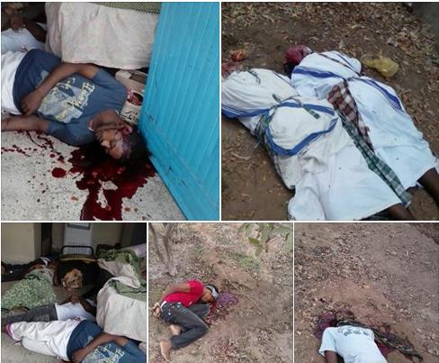 بلبيليبليب