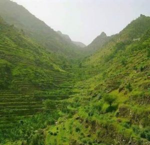 13654130_171867273227654_4955048587327170711_n