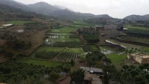 13680615_171867213227660_1841752769824619674_n (1)