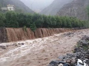 13707635_171867296560985_2537150663279807385_n