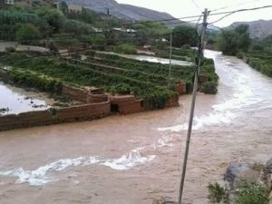 13715980_171867113227670_3372344835913198353_n