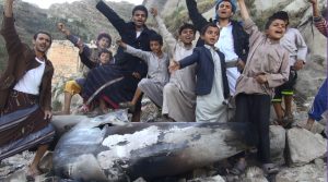 %d9%81%d9%81%d9%81%d9%81%d9%81%d9%81%d9%81%d9%81%d9%81