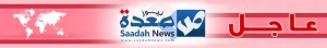 صنعاء : 5شهداء وجرح امرأة في غارة لطيران العدوان استهدفت سيارة تقل نازحين في نقيل نهم