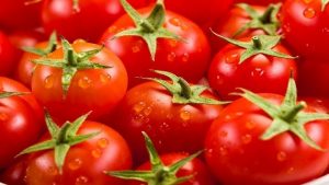 علماء: تناول الطماطم يقي من سرطان المعدة