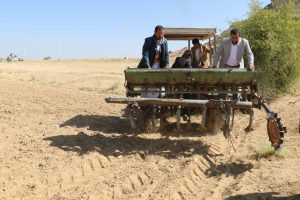 تدشين توزيع بذور القمح المحسن على 1000 مزارع بصعدة (صور)