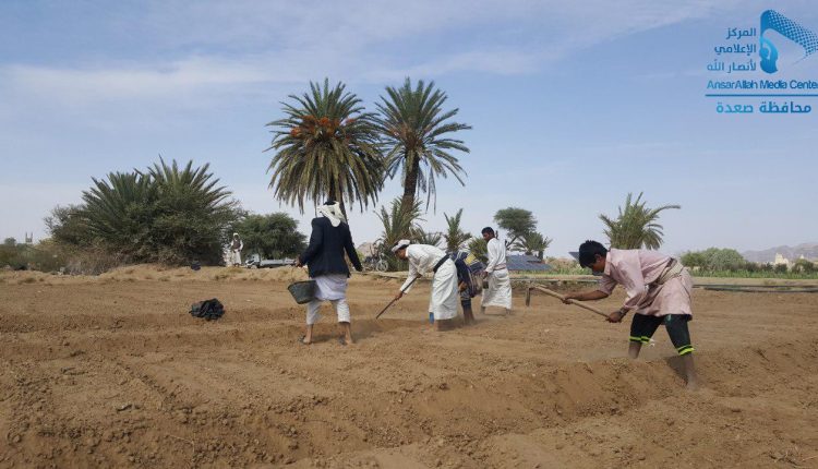 ستصلاح 6000 حبلة من أراضي الأوقاف ‫(29929355)‬ ‫‬