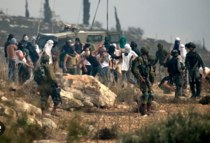 المستوطنون الصهاينة يصعًدون من اعتداءاتهم على ممتلكات فلسطينية بالضفة