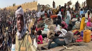 الفاشر تحت وطأة العنف ومدعي الجنائية الدولية يصفه “قد يرقى إلى جرائم حرب”